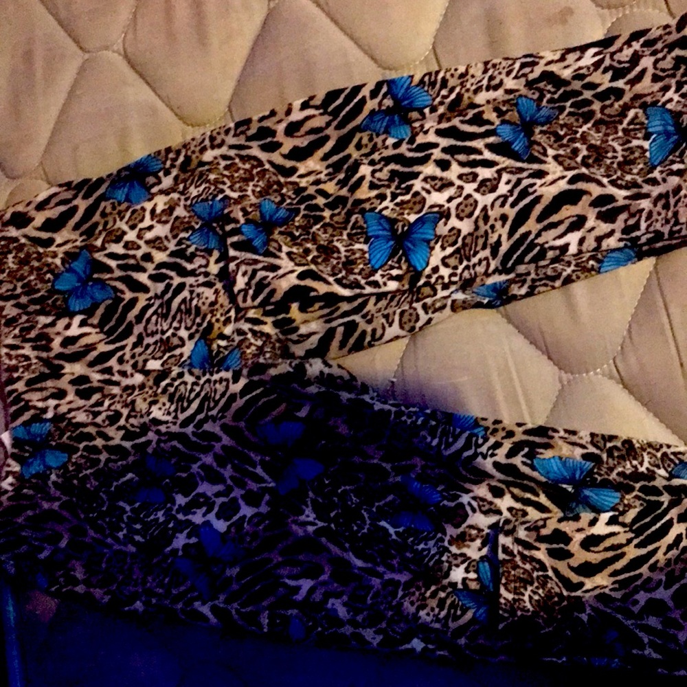 The brad that this is from is NO BOUNDARIES They are in the color blue and brown